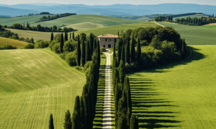 Trebbiano: a casta branca italiana