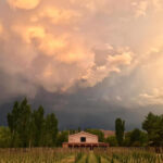 Bodega Cara Sur