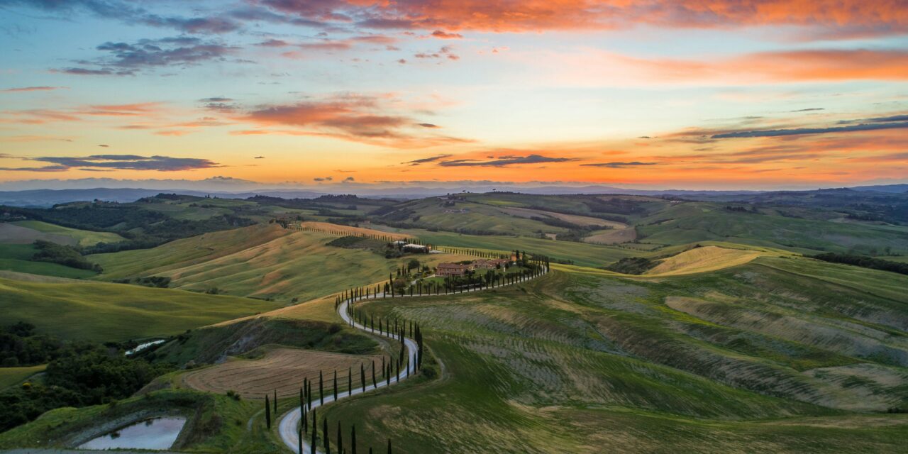 Por que a Sangiovese é a casta-símbolo da Toscana?
