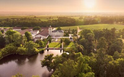 O grupo japonês que salvou um Grand Cru de Bordeaux