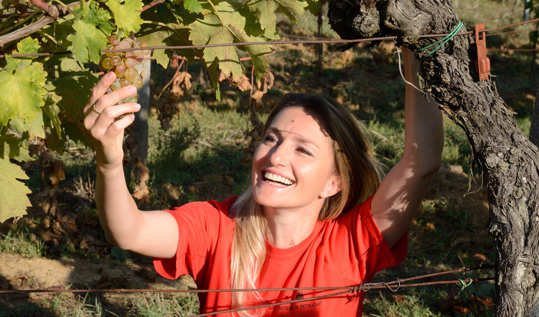 Monica Rossetti e as duas filosofias de vinificação de Petrognano