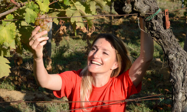 Monica Rossetti e as duas filosofias de vinificação de Petrognano