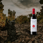 Vinho espanhol Lacort Crianza, um clássico de Rioja para o inverno