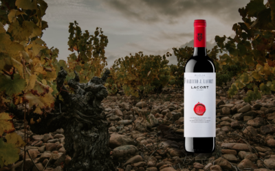 Vinho espanhol Lacort Crianza, um clássico de Rioja para o inverno