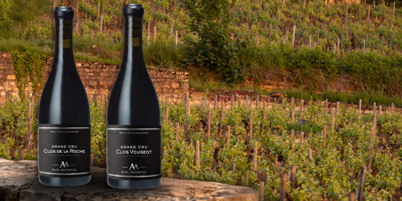 Grand Cru Borgonha- Clos Vougeot 2023 vs Clos de la Roche 2018