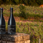 Grand Cru Borgonha- Clos Vougeot 2023 vs Clos de la Roche 2018