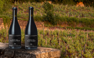 Grand Cru Borgonha- Clos Vougeot 2023 vs Clos de la Roche 2018