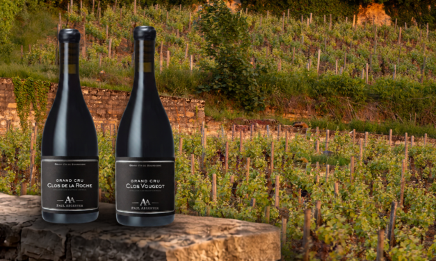 Grand Cru Borgonha- Clos Vougeot 2023 vs Clos de la Roche 2018
